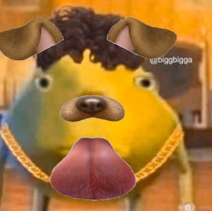 Meet your Posher, Christopher